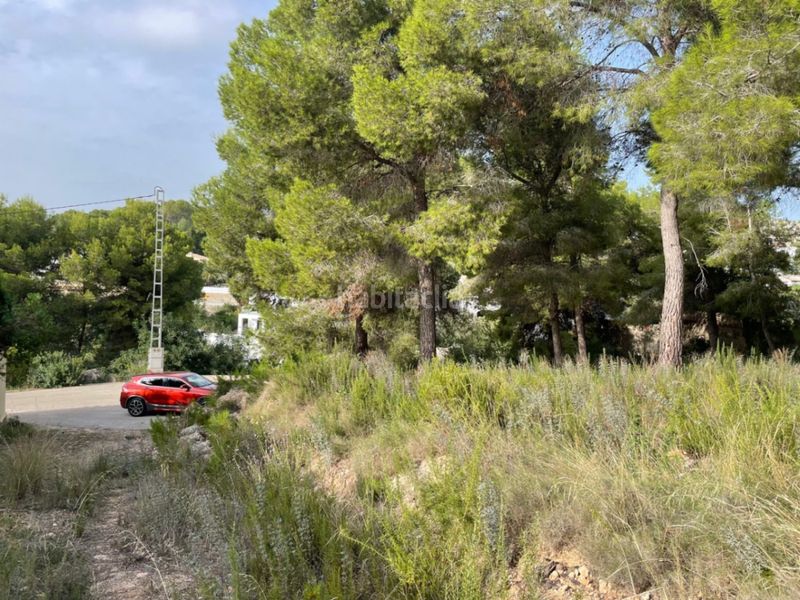 Foto e069d4c2-0e56-4306-b6c4-e44b65dcbf97. Terreny residencial a El Portet-Pla del Mar Moraira