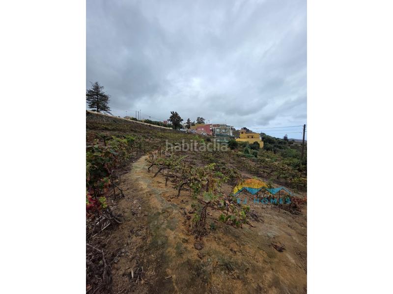 Foto 162a97fd-e4bc-4501-9d53-54a131c407a1. Casa a La Perdoma - San Antonio - Benijos Orotava (La)