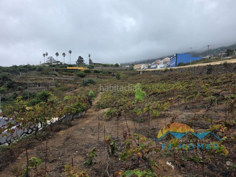 Foto 234a193a-9968-4ddd-8cdf-287acacb688e. Casa a La Perdoma - San Antonio - Benijos Orotava (La)