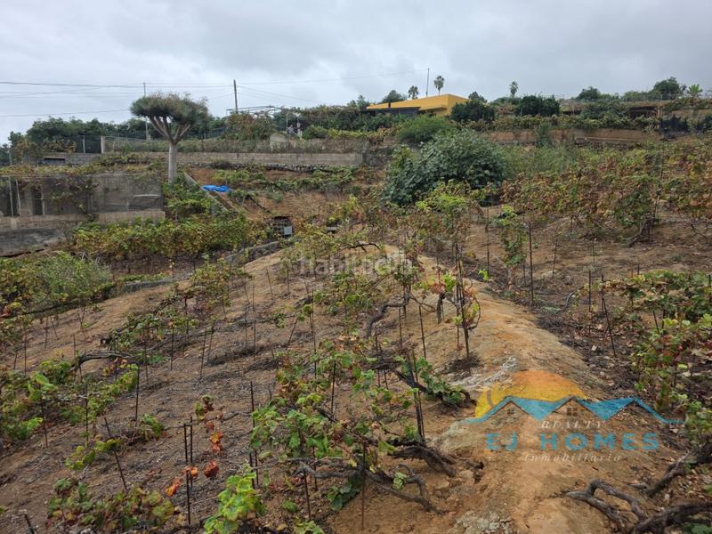 Foto 2fbe579e-56d1-49d8-b12c-61654ac8c2e3. Casa a La Perdoma - San Antonio - Benijos Orotava (La)