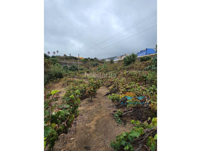 Foto 33c15556-05fe-4ed0-8c8b-d41406269501. Casa a La Perdoma - San Antonio - Benijos Orotava (La)