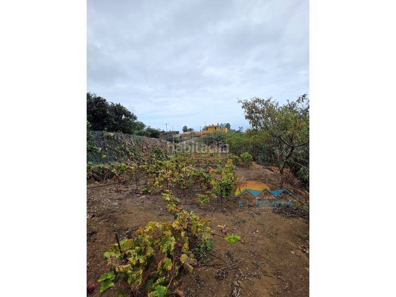 Foto 49fdcb18-c540-46bc-a9fd-a805991fbde2. Casa a La Perdoma - San Antonio - Benijos Orotava (La)