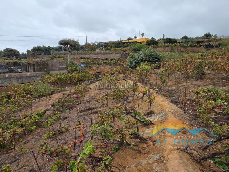 Foto 5dd359e5-80f5-4f61-b3af-6b54e2a74bbf. Casa a La Perdoma - San Antonio - Benijos Orotava (La)