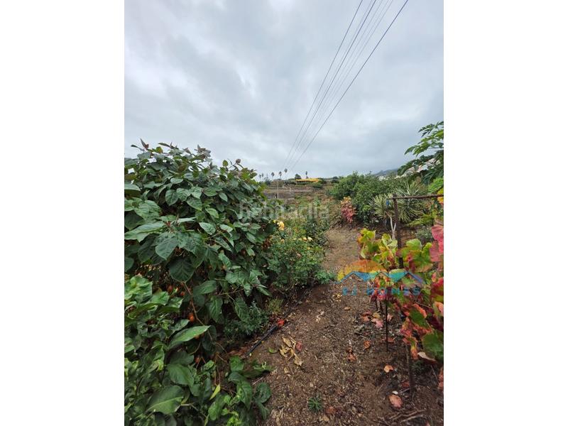 Foto 68cd7a03-c0f7-4f7b-a1eb-1df83faa10c8. Casa a La Perdoma - San Antonio - Benijos Orotava (La)