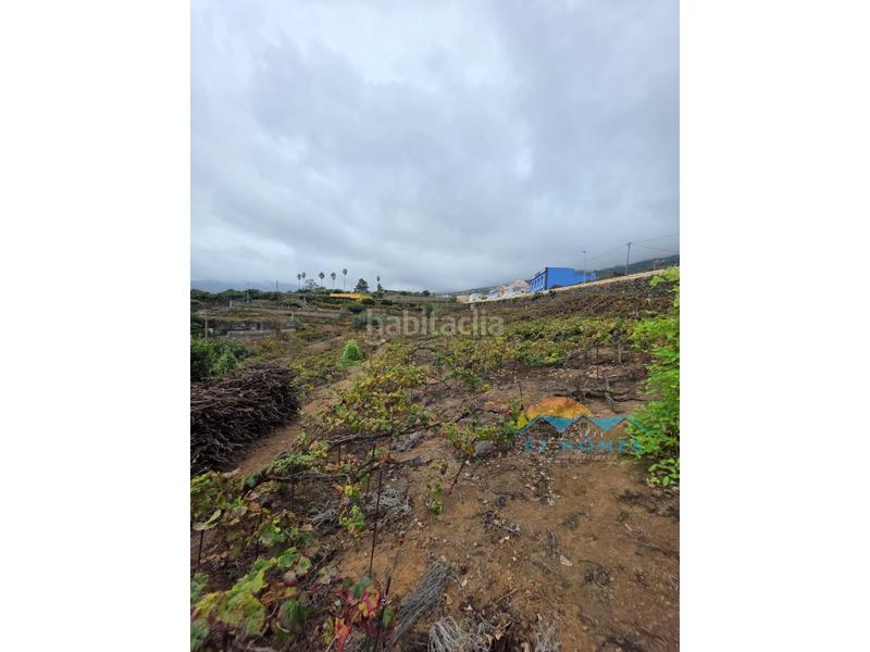 Foto 6d478d8e-d908-4d35-b125-29ad40d51c49. Casa a La Perdoma - San Antonio - Benijos Orotava (La)
