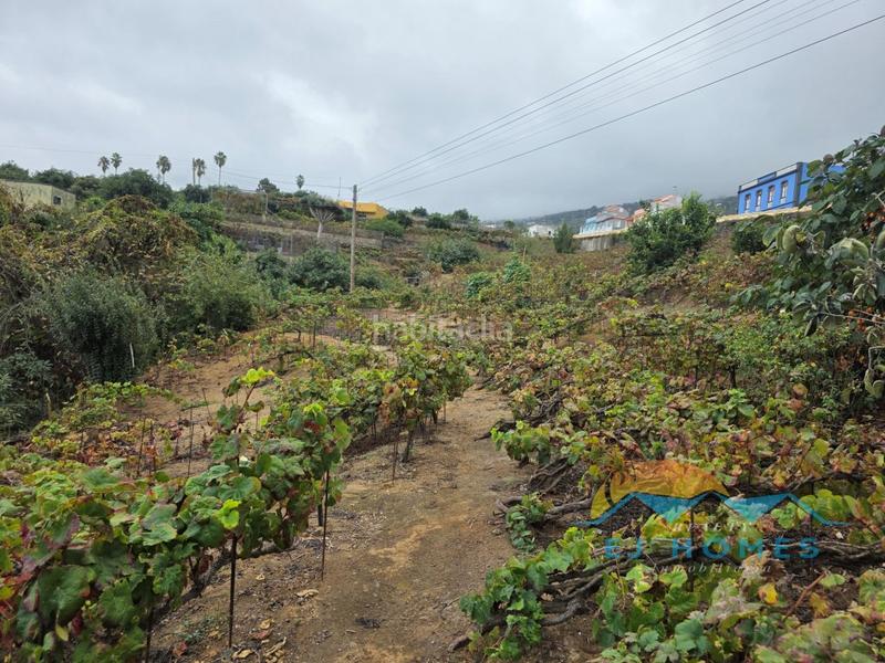 Foto 6dda04e8-c7b8-40ba-b367-26ebbffe1c88. Casa a La Perdoma - San Antonio - Benijos Orotava (La)