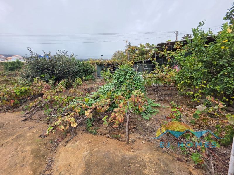 Foto 74c14771-8571-42b7-aea2-3e9de62783a7. Casa a La Perdoma - San Antonio - Benijos Orotava (La)