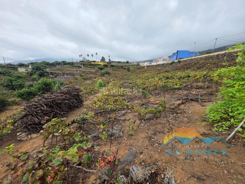 Foto 79a72b1e-b09c-414b-81b3-47780ed844ab. Casa a La Perdoma - San Antonio - Benijos Orotava (La)