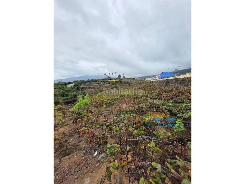 Foto 80f4398e-6a98-4ed0-8981-c52053175e1c. Casa a La Perdoma - San Antonio - Benijos Orotava (La)