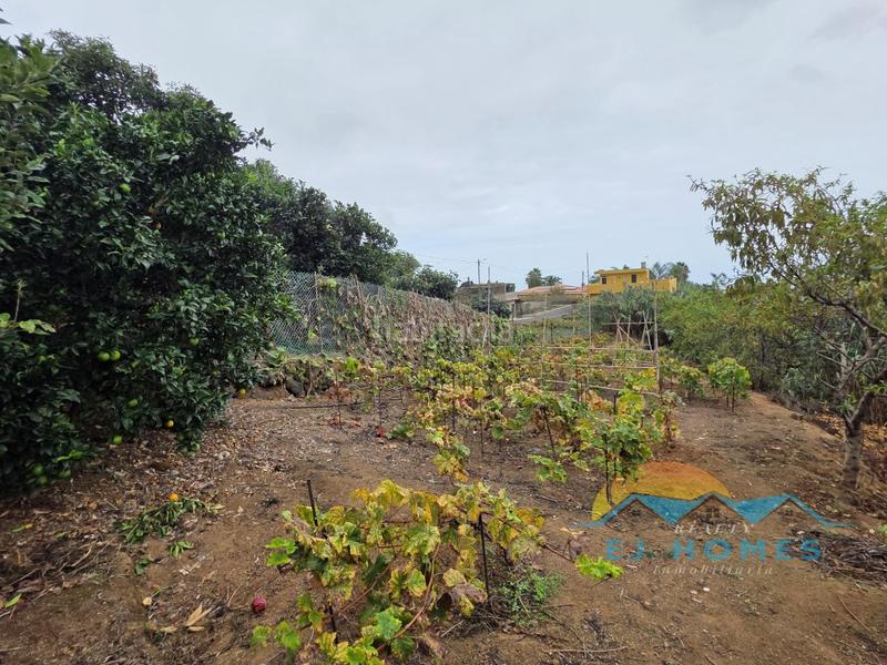 Foto 96a044b7-38dd-4a27-a600-9b2ea1f580e1. Casa a La Perdoma - San Antonio - Benijos Orotava (La)