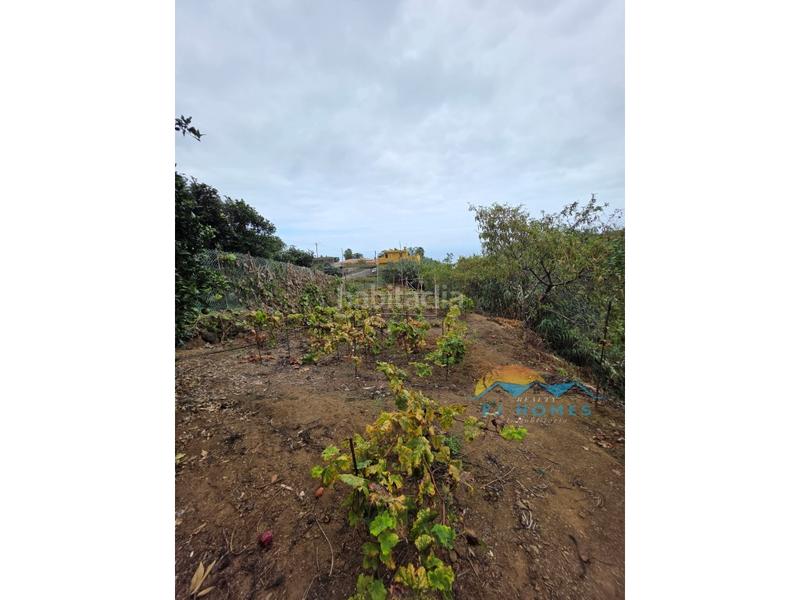 Foto 9fc4ade4-1139-494e-87d2-0df60074b38e. Casa a La Perdoma - San Antonio - Benijos Orotava (La)