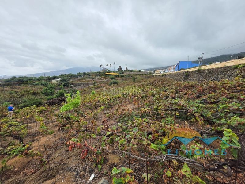 Foto b0d333c7-fd1d-4462-8f8c-3f873d189e44. Casa a La Perdoma - San Antonio - Benijos Orotava (La)