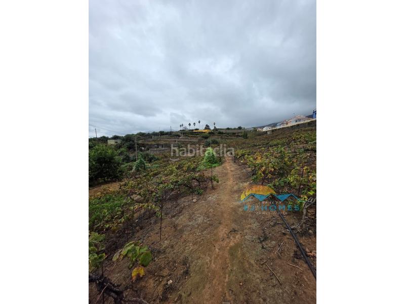 Foto baccb356-17f5-4e7a-9ab4-75730d4fc1da. Casa a La Perdoma - San Antonio - Benijos Orotava (La)