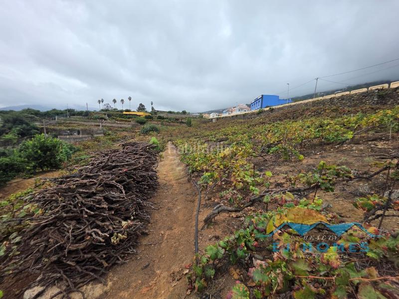Foto bf2d6743-1c6c-438e-b25b-476f8ca989c2. Casa a La Perdoma - San Antonio - Benijos Orotava (La)