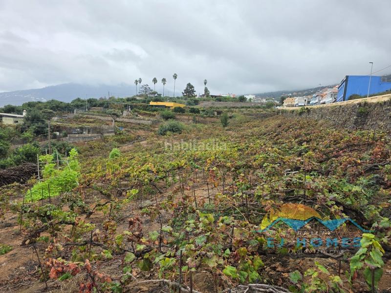 Foto cc8444eb-b372-4fa1-99c3-a87466ac1bcd. Casa a La Perdoma - San Antonio - Benijos Orotava (La)