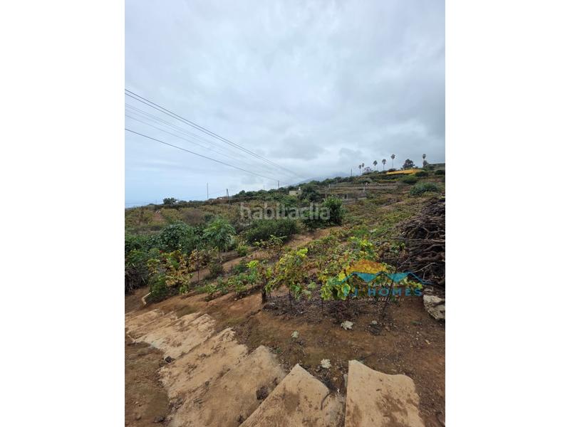 Foto df52787a-9535-49be-a68f-828287d9d8ae. Casa a La Perdoma - San Antonio - Benijos Orotava (La)