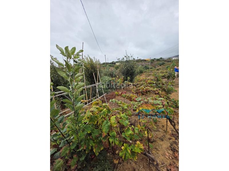 Foto e16cc624-0a6f-4b7d-bf9e-987e6c15b741. Casa a La Perdoma - San Antonio - Benijos Orotava (La)