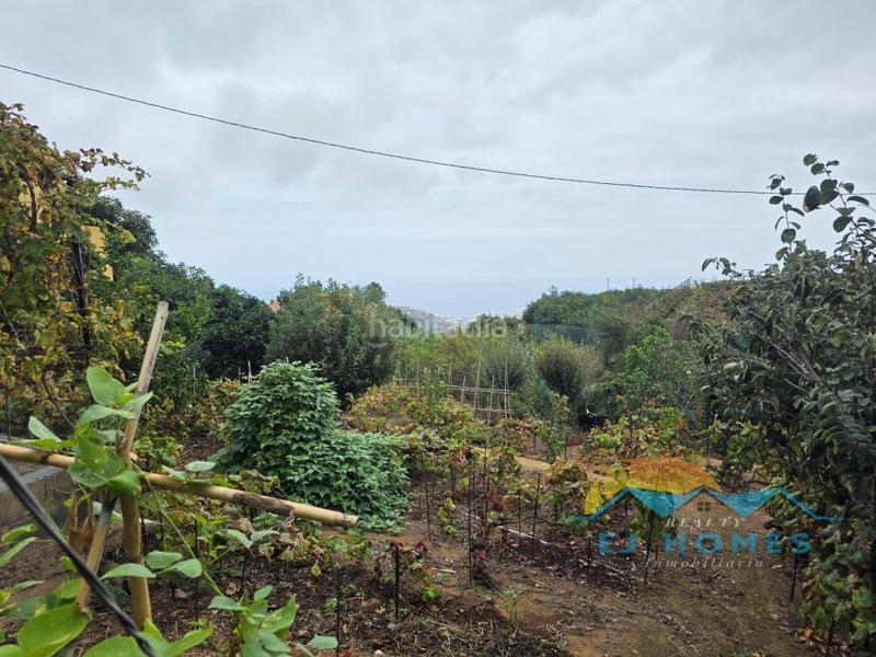 Foto ed129c7e-1327-496f-98c1-81560b296619. Casa a La Perdoma - San Antonio - Benijos Orotava (La)