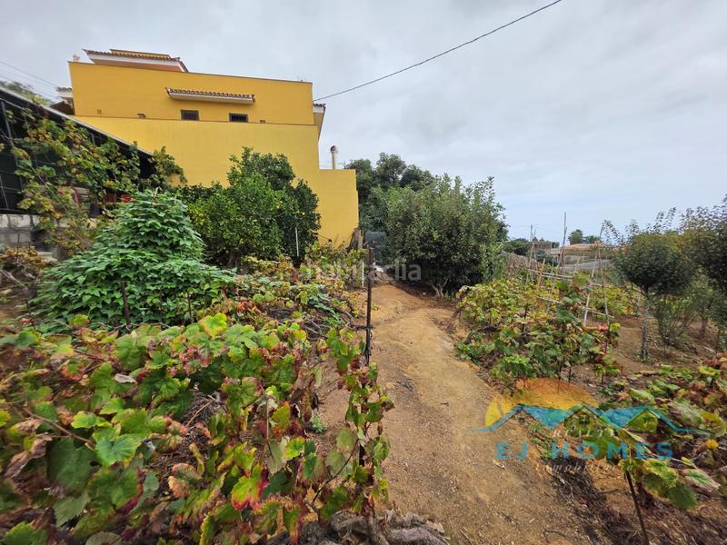 Foto f88f985e-47b0-4ce2-b830-95051bf0a879. Casa a La Perdoma - San Antonio - Benijos Orotava (La)