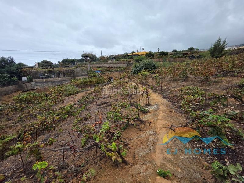 Foto fc876410-47f0-4cae-97d0-7b9122650a53. Casa a La Perdoma - San Antonio - Benijos Orotava (La)