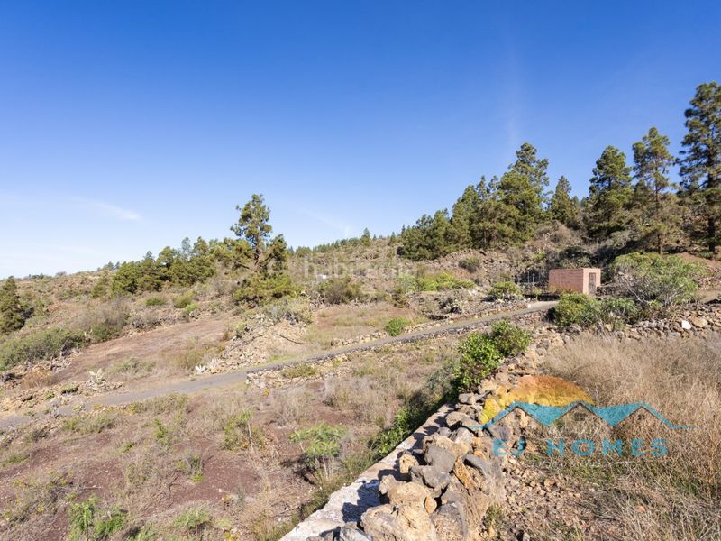 Foto ba94a764-ca45-4ff4-aaea-755e17af337e. Masia a Chío Guía de Isora