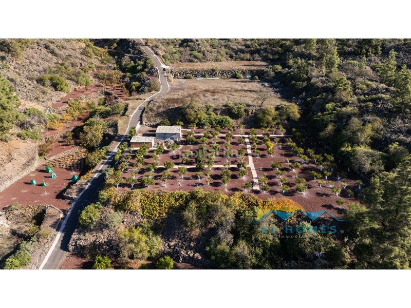 Foto d805e1c2-8c0d-40a7-aea1-a2aa4ae2510a. Masia a Chío Guía de Isora
