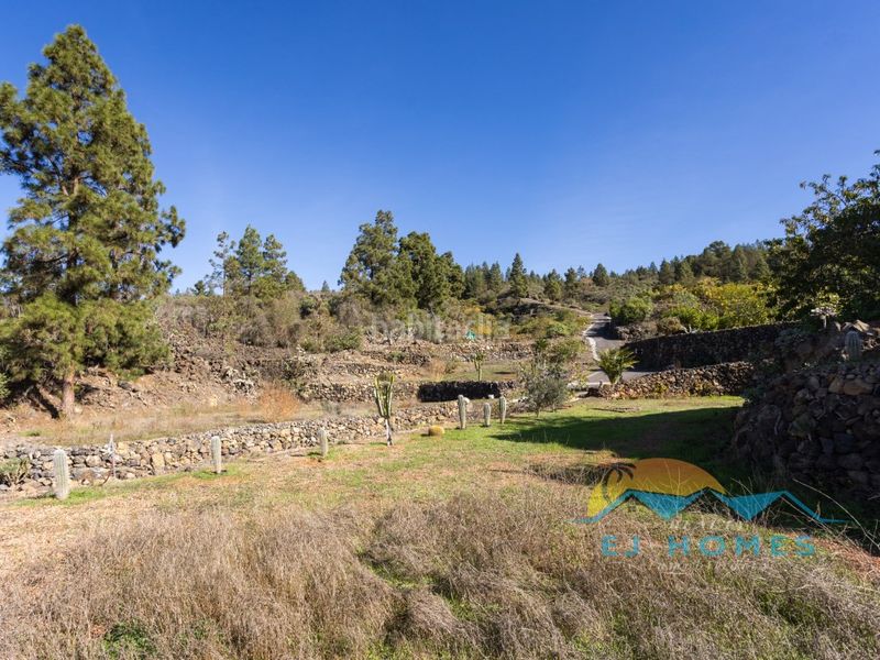 Foto f5c205ee-a0bd-4f0f-a98c-b64e7a693590. Masia a Chío Guía de Isora
