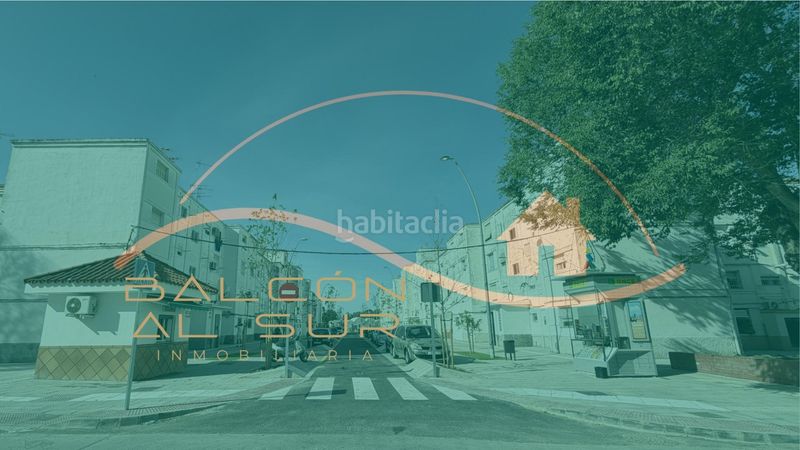 Foto 50ba7e73-1ac6-4174-b9d3-af18dd3284d1. Pis a Norte - Blanca Paloma Rota