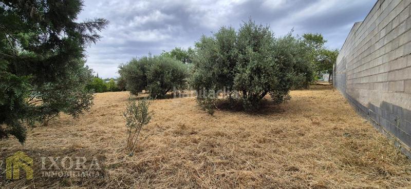 Foto c4989d8f-d356-44c6-abc2-95fdac8b8aaa. Landgut in San Gonzalo Linares