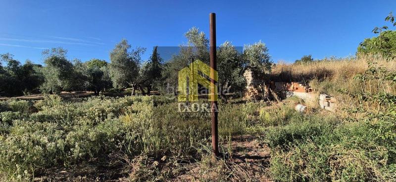 Foto 514f7544-3515-41ca-8a49-fc4622023ee1. Masia a La Zarzuela - San José - Belén Linares