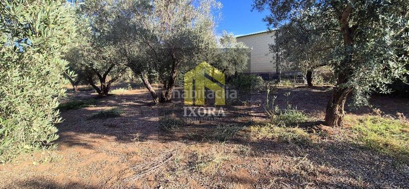 Foto 66379a34-dce0-4d04-a54d-4369f414305a. Masia a La Zarzuela - San José - Belén Linares