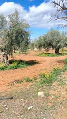 Finca rústica a Ventas de Huelma. Se vende haza en ventas de huelma