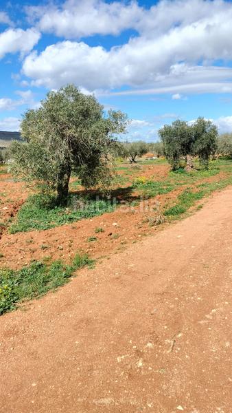 Foto 09ffe182-6fab-496b-9f8b-4f952e386f41. Fondo rustico in Malahá (La)