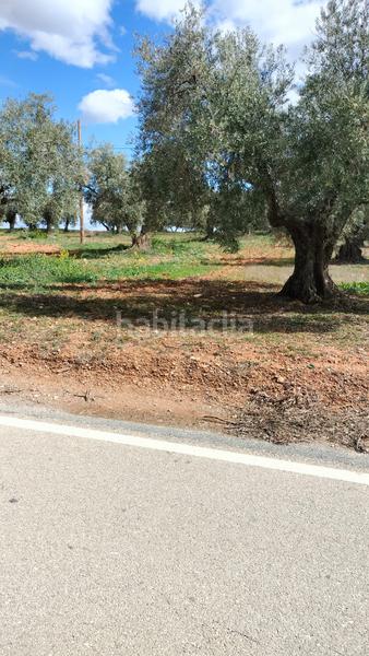 Foto 593f9c16-c4e0-407c-9180-369d39ccad73. Fondo rustico in Malahá (La)