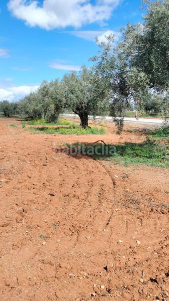 Foto 76205b68-e7b5-45fa-ad84-c4710fcbf75d. Fondo rustico in Malahá (La)