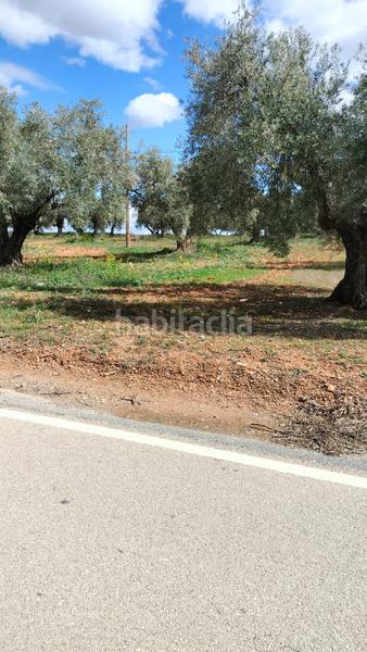 Foto 962ecd8d-010e-4fd6-97a2-8d42501229ea. Fondo rustico in Malahá (La)