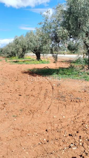 Foto d6a8e7e4-4107-44fe-bb41-ee3b201ae92e. Fondo rustico in Malahá (La)