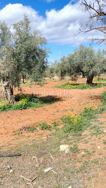 Foto e8fbd99a-4812-4112-9fb0-d2060ae0acc8. Fondo rustico in Malahá (La)