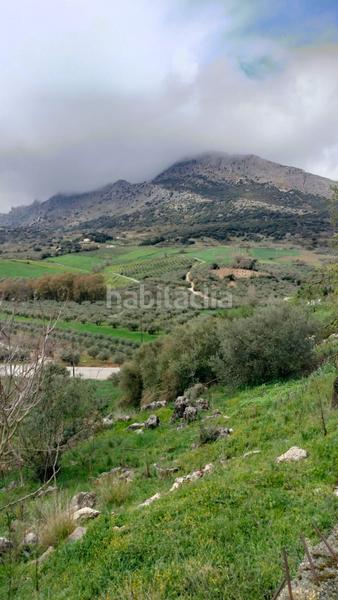 Foto 2b425ffb-dc5f-4a75-99d5-9e87bebbd721. Casa a Alfarnatejo