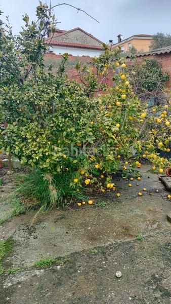 Foto d3a2f02f-f5da-4680-99ee-4f9db5c8623c. Casa a Alfarnatejo