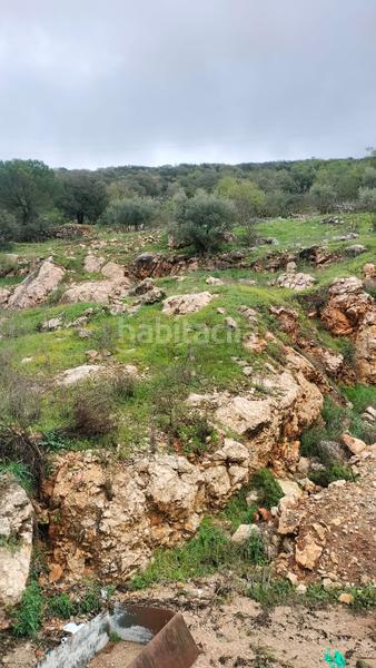 Foto f4c33461-b8ce-4d35-83ac-f8cbf4b371fe. Casa a Alfarnatejo