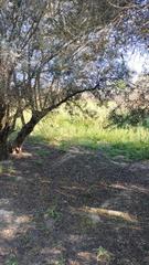 Propriété  Avenida de las andas. Finca en alhendin