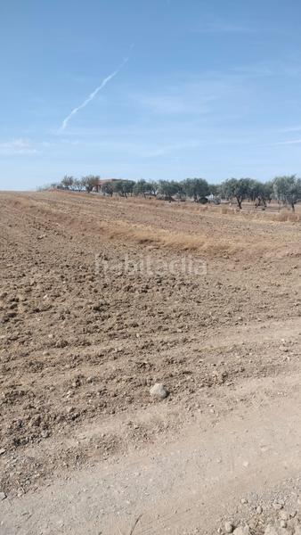 Foto 041a6e8f-4b34-4cec-9352-ee15f0a75e44. Fondo rustico in Malahá (La)