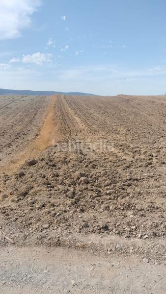 Foto 16746e83-790f-4070-89cf-c70f5b775d64. Fondo rustico in Malahá (La)