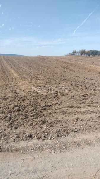 Foto 366eb3ea-aa04-4c45-bb1e-a12eb7733034. Fondo rustico in Malahá (La)