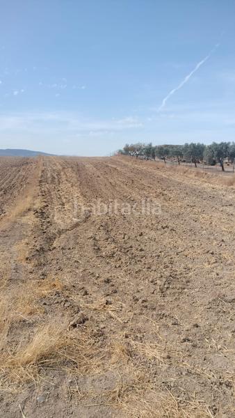 Foto 51693e34-8445-4023-a9a5-303bb9bbf3a0. Fondo rustico in Malahá (La)