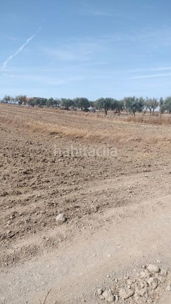 Foto 64c86ba7-18e8-43e9-b9b9-b46e610f78b1. Fondo rustico in Malahá (La)