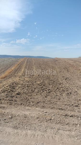 Foto 96eaba18-55ec-491e-a2d3-b81a08c5ec92. Fondo rustico in Malahá (La)