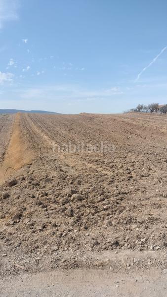 Foto a8b46b97-d31b-4fe8-a676-60e46429f3c3. Fondo rustico in Malahá (La)