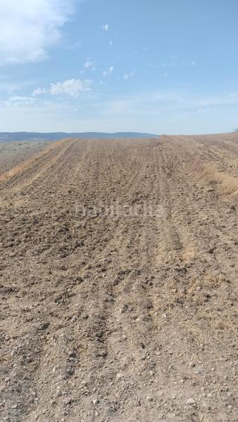 Foto ce6c83a6-f35e-4231-97c0-e27a44b8c704. Fondo rustico in Malahá (La)